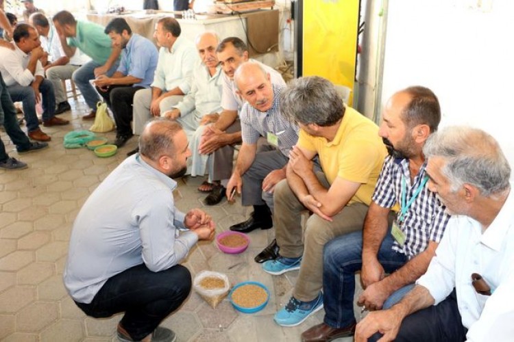 Hububat İhracatının Durması Çiftçiyi Zora Soktu