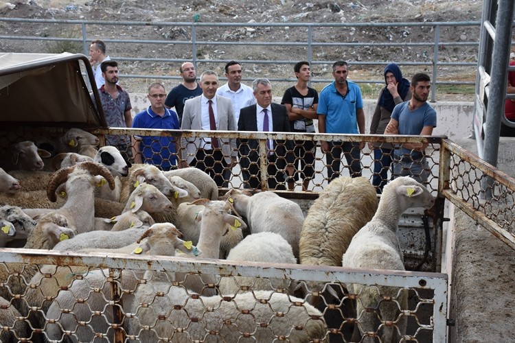 Manisa'lı Genç Çiftçilere Küçükbaş Hayvanları Teslim Edildi