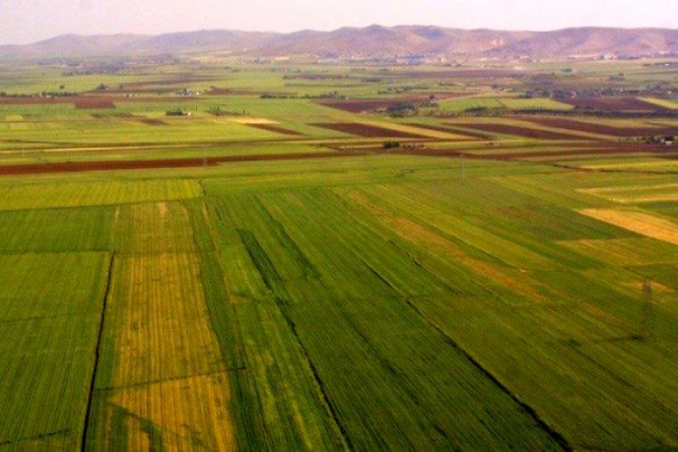 Hazineye Ait Tarım Arazilerinin Kiralanması ve Satışı Yapılabilecek