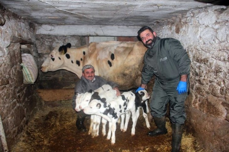 İzmir'de dünyaya geldiler! Eşine az rastlanır olay