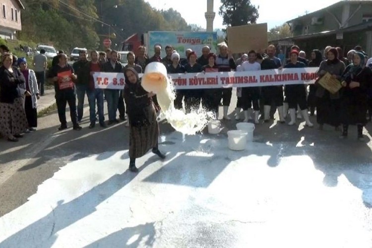 Süt Üreticilerinden Protesto! Sütleri Yola Döktüler