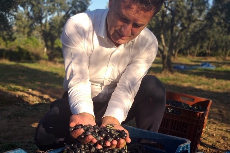 Afrin’den Zeytin Alıp Kendi Üreticisini Unuttular