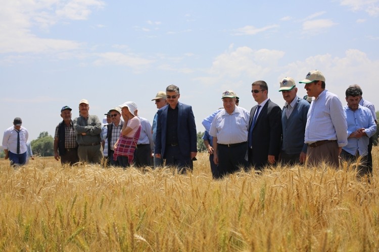 Eskişehir'de Çeşitli Bitki Türlerinde En Yeni Çeşitler Çiftçilere Tanıtıldı