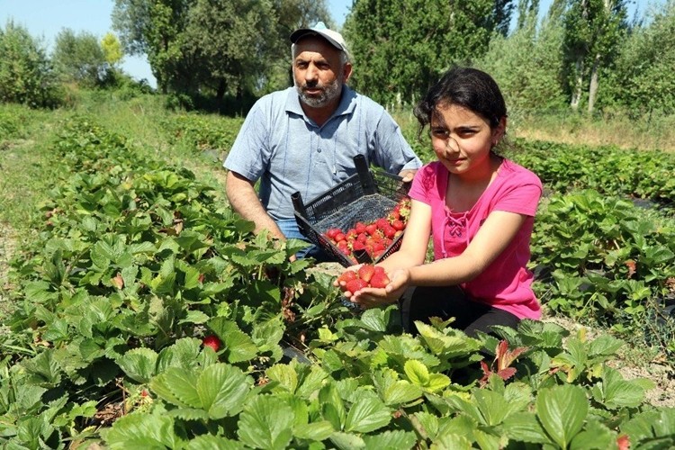 Palandöken, 'Köye Geri Dönmek İsteyene Kolaylık Sağlanmalı'