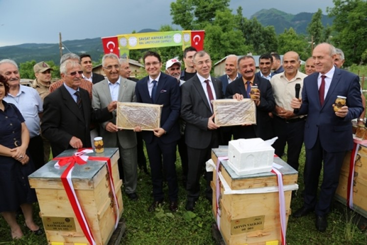 Şavşat Kafkas Arısı Bal Üreticileri Derneğinden Kafkas Irkı Arılı Kovan Tanıtımı