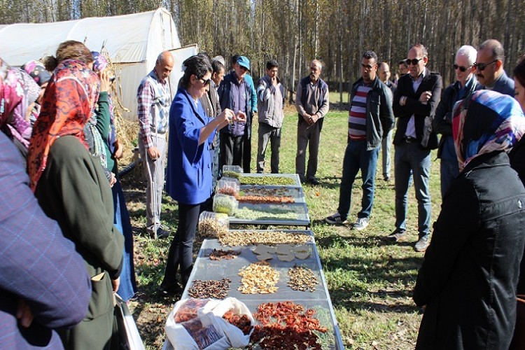 Tarımsal Proje Sayesinde Ürünlerini İki Kata Satıyorlar