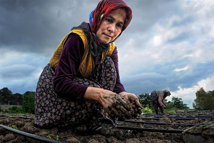 Bayraktar: Tarımın yükü kadınların sırtında