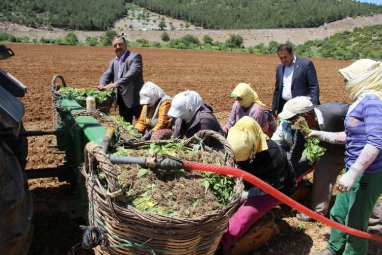 Çiftçilerimize Zirai Alet Hibe Desteği Şart