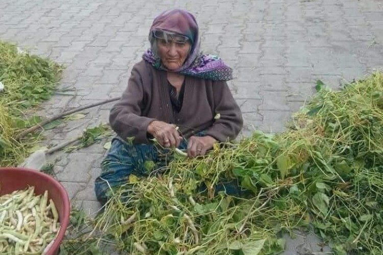 Beyşehir’in Akçabelen Çetmi Şeker Fasulyesi Coğrafi İşaret Aldı