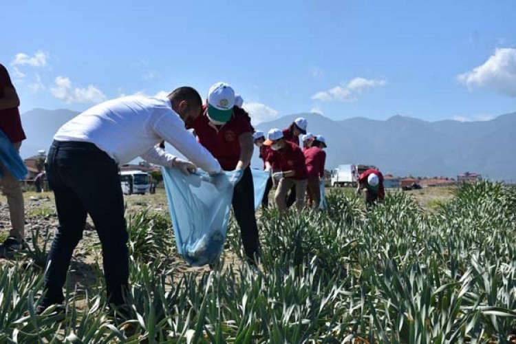 Etrafı çitle çevrilip koruma altına alındı