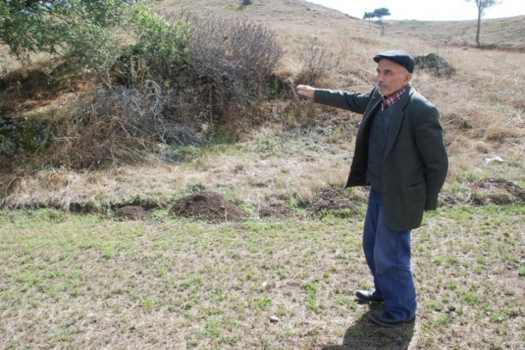 Dev yılan köylülerin kabusu oldu! '4 metre uzunluğunda baca kalınlığında'