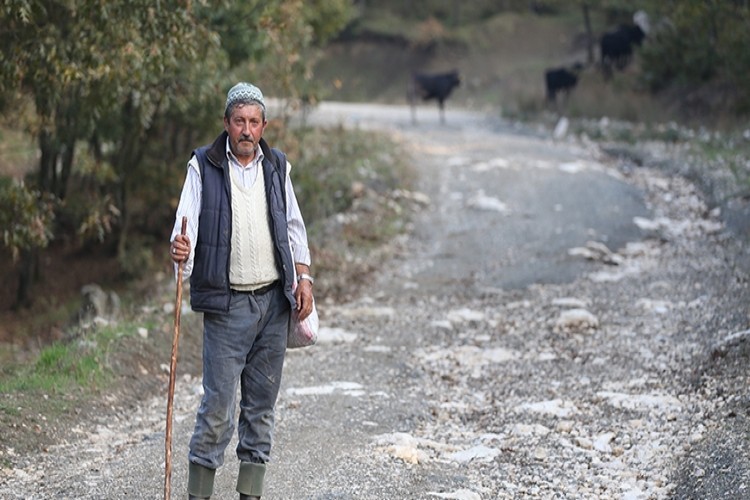 Uludağ diken üstünde... "Bu yıla kadar böyle bir olayla karşılaşmadım"