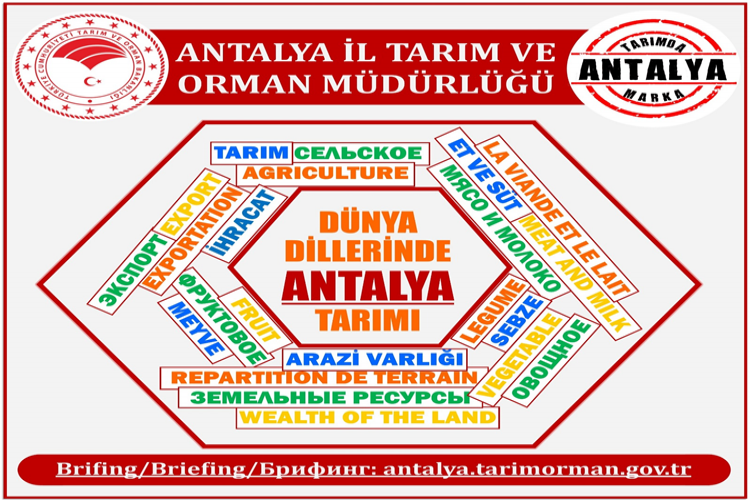 Antalya Tarımı Çalışmalarını 4 Dilde Yayınlandı