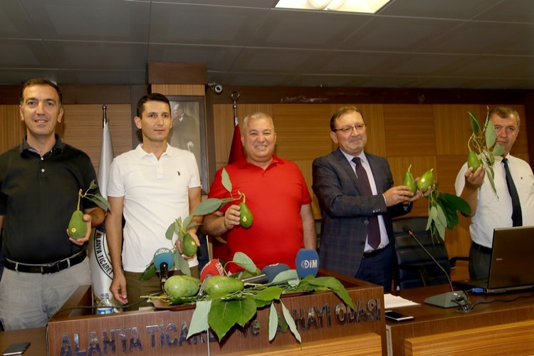 ALTSO, Avokadonun Coğrafi İşaretini Alanya’ya Kazandırdı