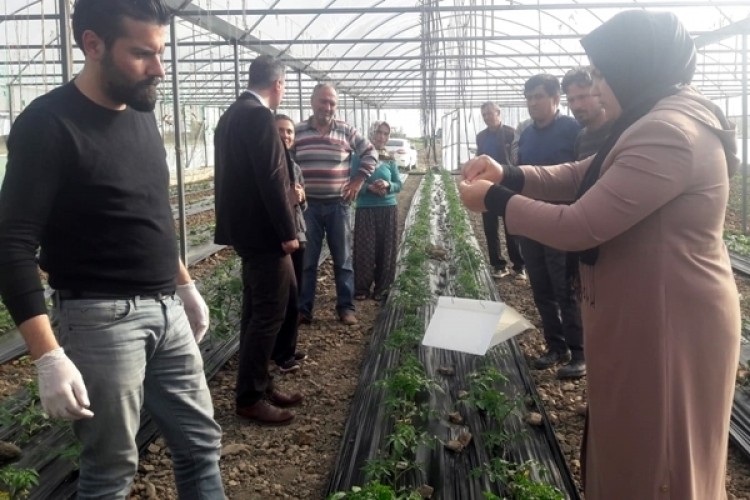 Uşak'ta Üreticilere Tarımsal Konularda Eğiti Verildi