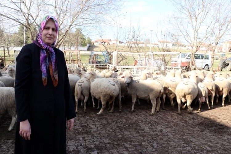 Ev hanımıydı devlet desteğiyle üretici oldu