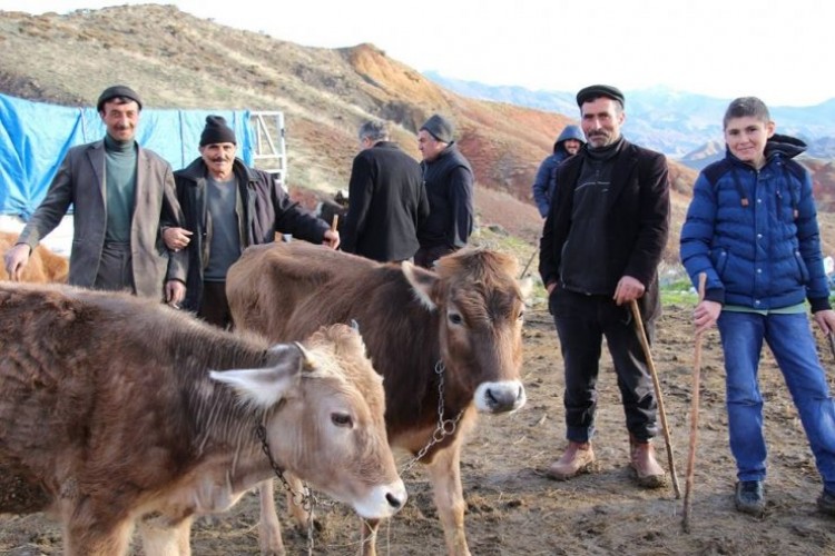 Canlı Hayvan Pazarında Satışlar Durma Noktasında