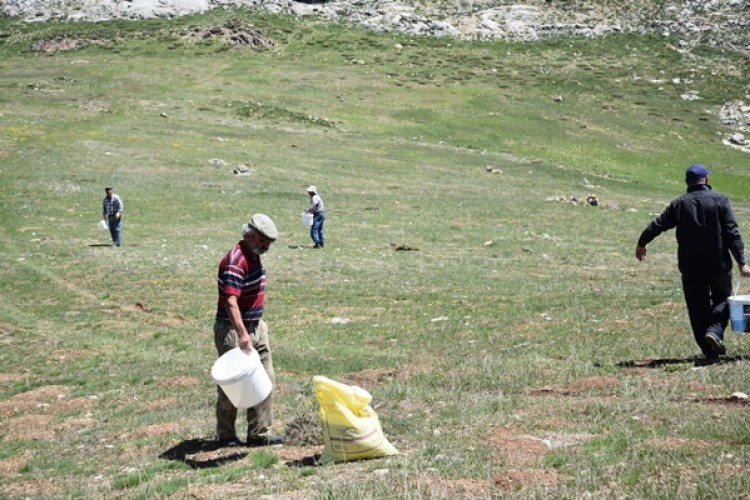 Antalya’da Mera Islah ve Amenajman Çalışmaları Aralıksız Devam Ediyor