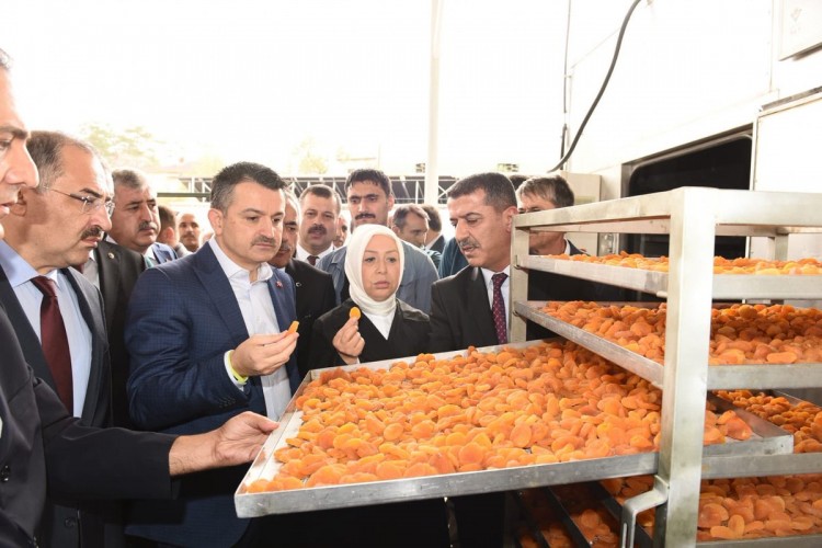 Bakan Pakdemirli, Türkiye Avrupa'da Tarımsal Hasılada Birinci Sırada