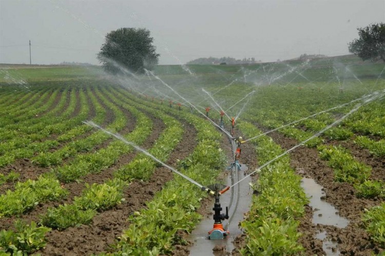 Ege’de Yaklaşık 2 Milyon 300 Bin Dönüm Arazi Suyla Buluştu