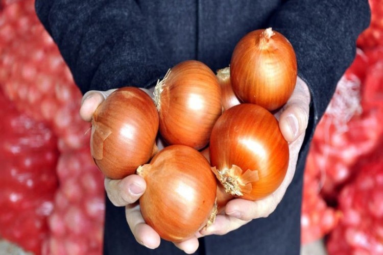 Kuru soğanda sıfır gümrük vergisinin süresi uzatıldı