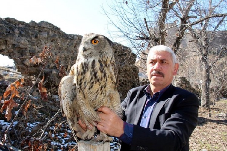 Bahçesinde Buldu, İyileşene Kadar Yanından Ayrılmadı