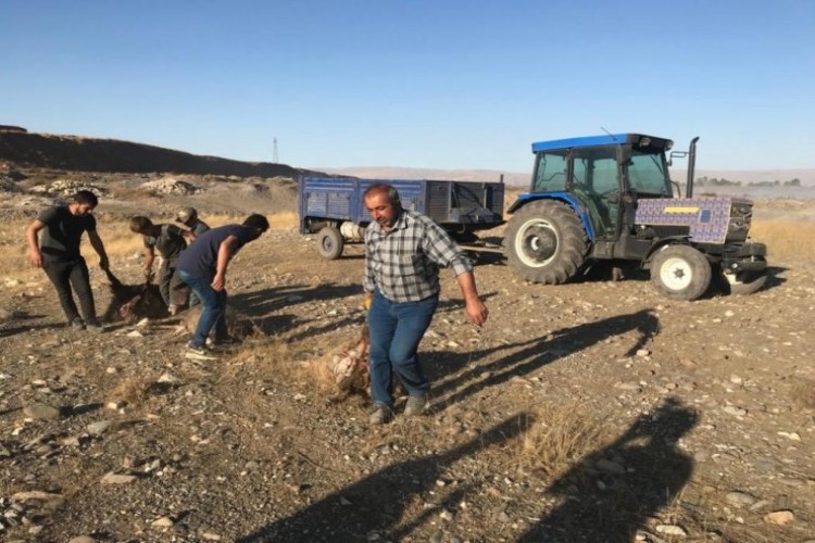 Uyurken sürükleyip götürmüşler! Gözünü açtığında gördüğü manzarayla şoka girdi...