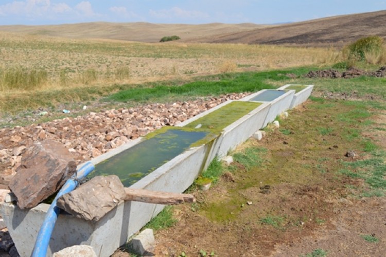 Meralarda Hayvanların Temiz Su İçmesi İçin Sıvatlar Dağıtıldı