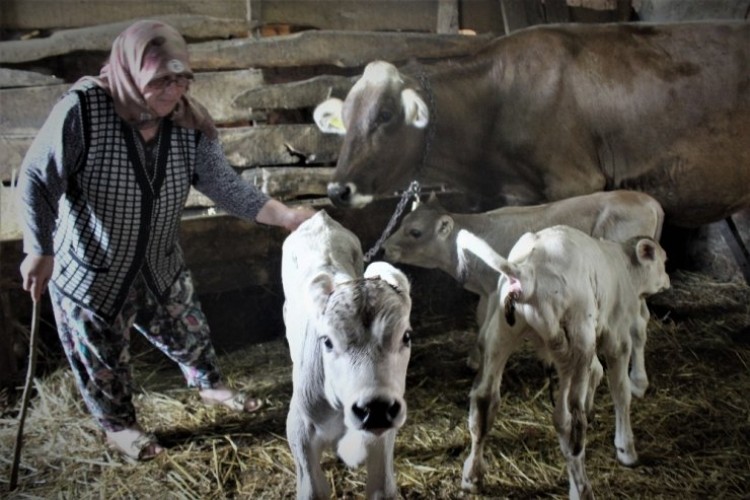 Yüzlerce Yıldır Hayvan Bakılan Köyde İlk Defa Böyle Bir Doğum Gerçekleşti