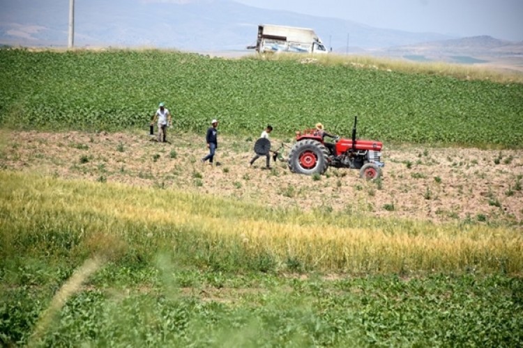 "Kayseri'nin Denizi" Köye Dönüşü Başlattı