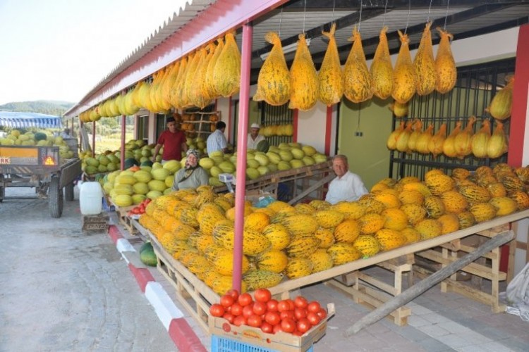 Kırkağaç Kavunu, AB’den Coğrafi İşaret Almaya Hazırlanıyor