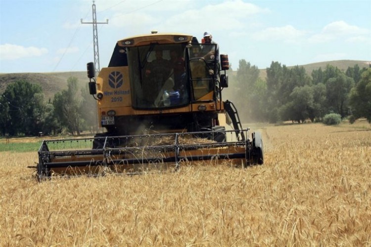 Buğdayda Kullanılan Mikoriza Mantarı İle Verim Yüzde 20 Arttı