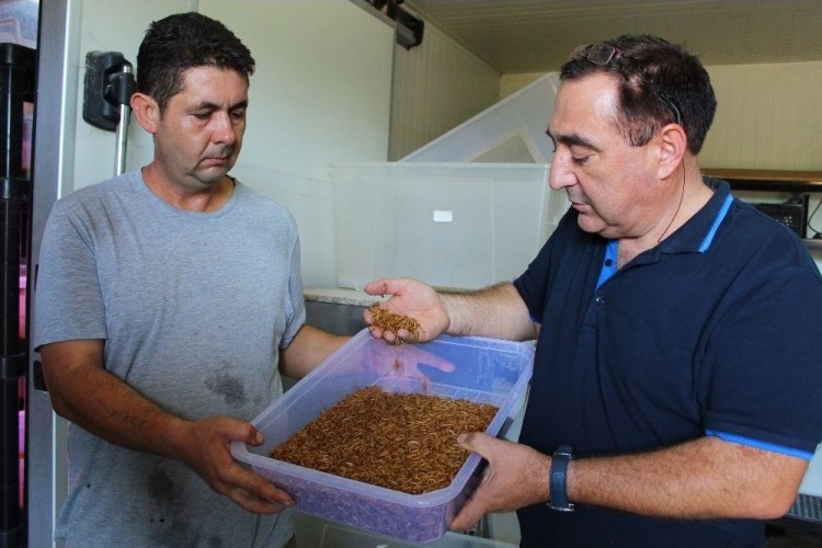 Paketleyip Kilosunu 90 TL’den Sattığı Kurtlarla Avrupa’ya Açılacak