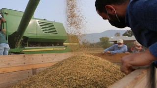 Bolu’da Soya Üreticiye Umut, Endüstriye Işık Oluyor