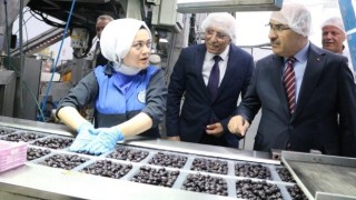 Bursa Valisi Mahmut Demirtaş Marmarabirlik’i ziyaret etti