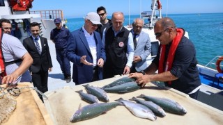 Giresun’da Kültür Balıkçılığında Türk Somonu Hasadı Başladı