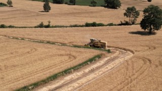Samsun’da Arpa, Buğday ve Kanolada Hasat Devam Ediyor
