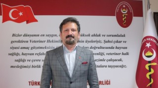 TVHB ve Veteriner Hekim Odaları: Yeni Tasarı Hayvanları Tehlikeye Atıyor