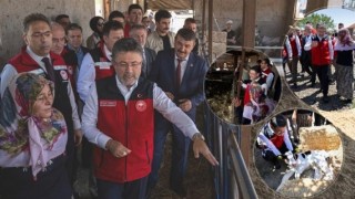 Bakan Yumaklı, Ankara'da Hayvancılık İşletmesini Ziyaret Etti