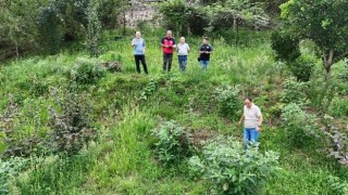 Giresun’da Fındık Sektörü ve Tarımsal Projeler Masaya Yatırıldı