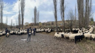 Küçükbaş Hayvancılık Desteklemeleri Hakkında Açıklama