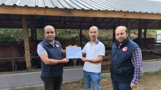 Giresun’da İlk Hastalıktan Ari İşletmeye Sağlık Sertifikası Verildi