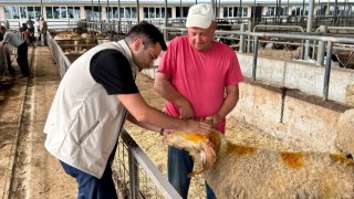 Kars Veteriner Hekimleri Odası’ndan Dünya Gıda Günü Mesajı: Gıda Güvenliği ve Veteriner Hekimlerin Hayati Rolü