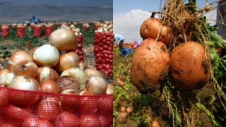 Patates ve Kuru Soğan Üreticileri İçin Acil Çözüm Çağrısı