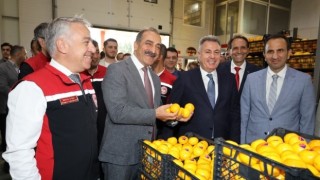 Satsuma mandalina yüklü TIR’lar ihracata yolcu edildi