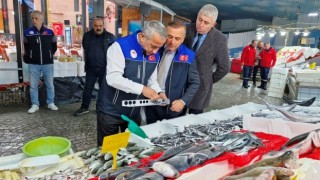 Samsun'da Balık Tezgahlarına Sıkı Denetim