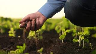 TEMA Vakfı: Sağlıklı yaşam için sağlıklı topraklara ihtiyacımız var!