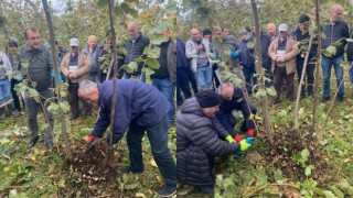 Giresun'da Fındık Üretimine Yeni Destek: Budama Eğitimi Projesi