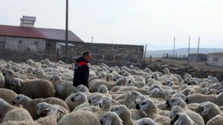 Kars'ta "Köyümde Yaşamak İçin Bir Sürü Nedenim Var Projesi" Başarısı