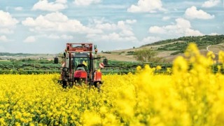 TÜİK: Tarımsal Girdi Fiyat Endeksi Yıllık %32,59 Arttı